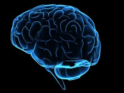 Cerebro
