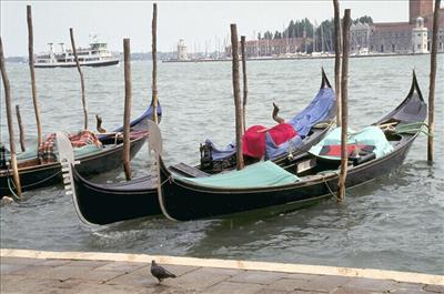 Venezia
