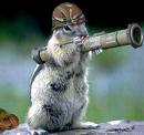 WAR WILD ONES!