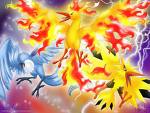 THE THREE LEGENDARY BIRD POKEMON