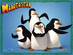 PENGUINS OF MADAGASCAR