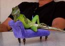 LIZARD