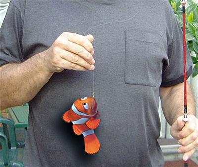 Finding nemo