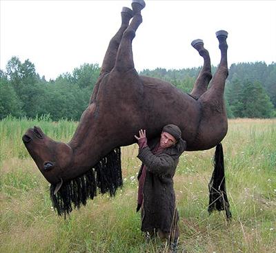 a horse the the girls