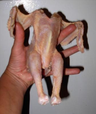 chicken feed