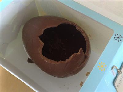 spring egg