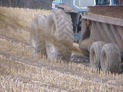 5 bags of fertilizer