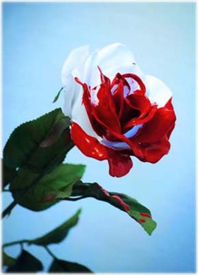 Painting The roses Red