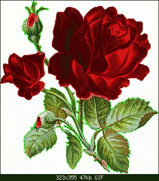 gül