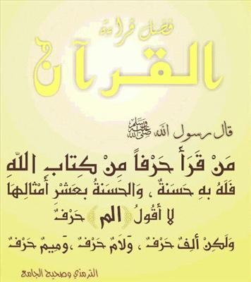 Zid hasanatek