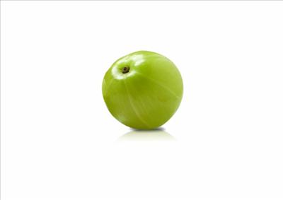 Amalaki