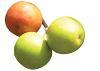 Jujube 