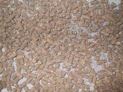 Zeytin Posası Kurutma Prina