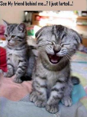 cheer up
