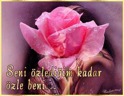 Gül4