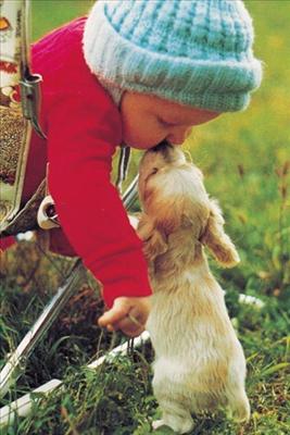 soft puppy kisses