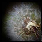 warm wishes
