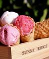 strawberry ice cream
