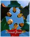 Our Friendship Rocks! Greeting