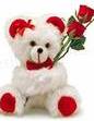 Sweet Teddy!