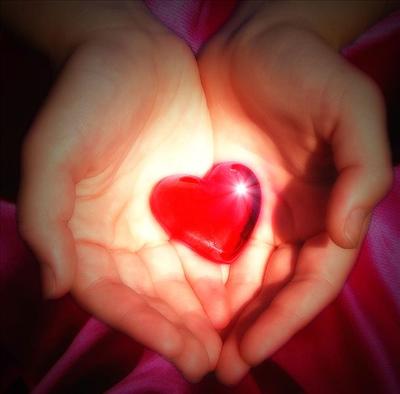 Heart