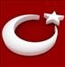 AY YILDIZ 