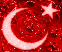 AY YILDIZ