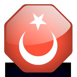 AY YILDIZ