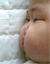 BEBEK 12
