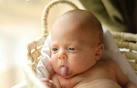 BEBEK 10