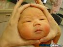 BEBEK 20
