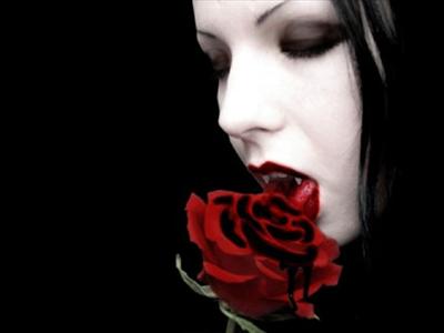 vampire rose 