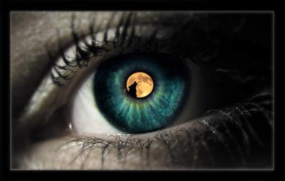wolf eyes 