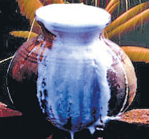 කිරි මුට්ටියක්