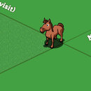 horse