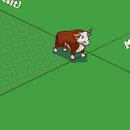 bull