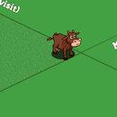 brown cow