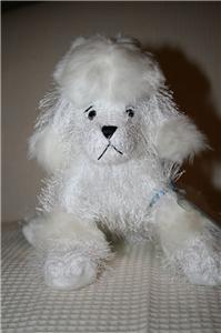 Puppy
