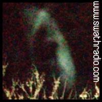 An apparition? #1