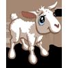 Lamb