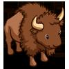 Buffalo