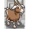 Goat