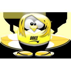 Pingouin Brice de Nice