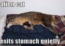 Alien Cat