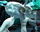 Area 51