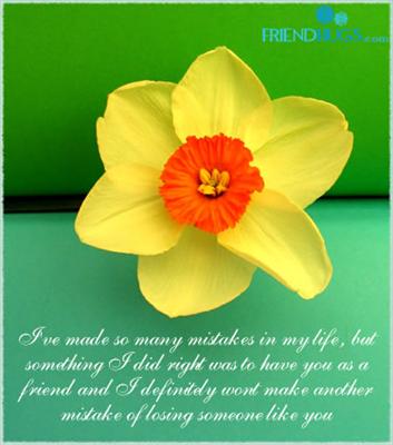 Friendship Card