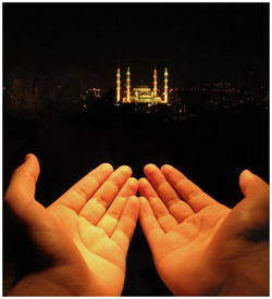 Allah Seni ve Beni Peygamberimizin Şefaatine Nail Eylesin