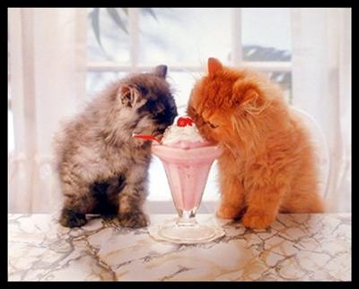 Ice cream?