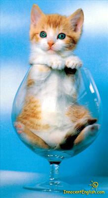 Drink?