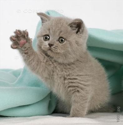 Don't leave!